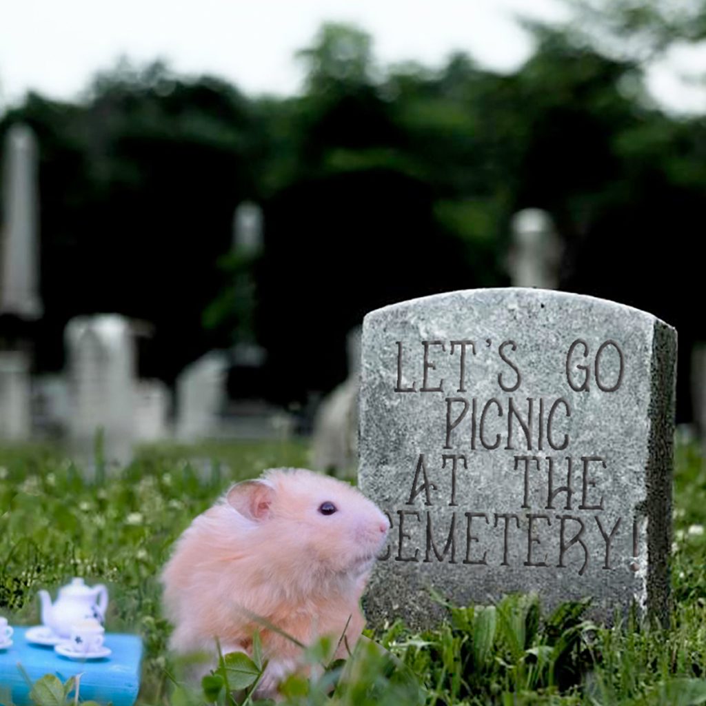 program image for Let's Go Picnic at the Cemetery