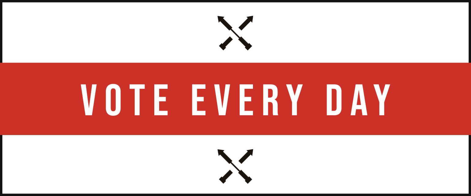 program image for Vote Every Day