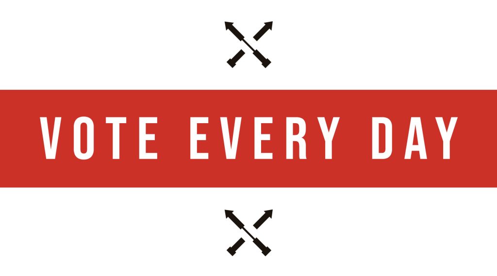 program image for Vote Every Day
